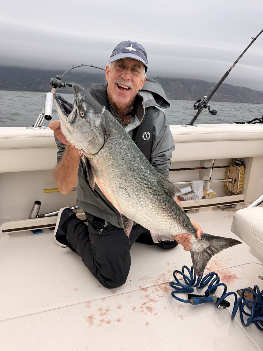 King salmon on the deck - foggy Gate morning.