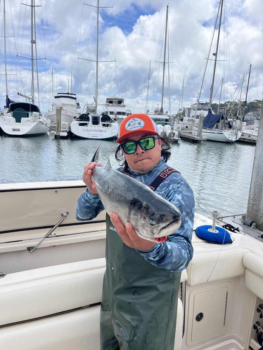 Dockside king at the marina.